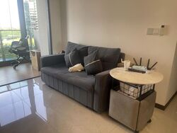 Normanton Park (D5), Apartment #502211941